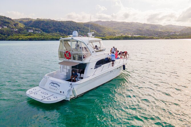 Montego Bay Private Yacht Tour with Open Bar and Lunch - Fish and Bird Sanctuary Cruise: A Quiet Finish With Built-In Scenery Time