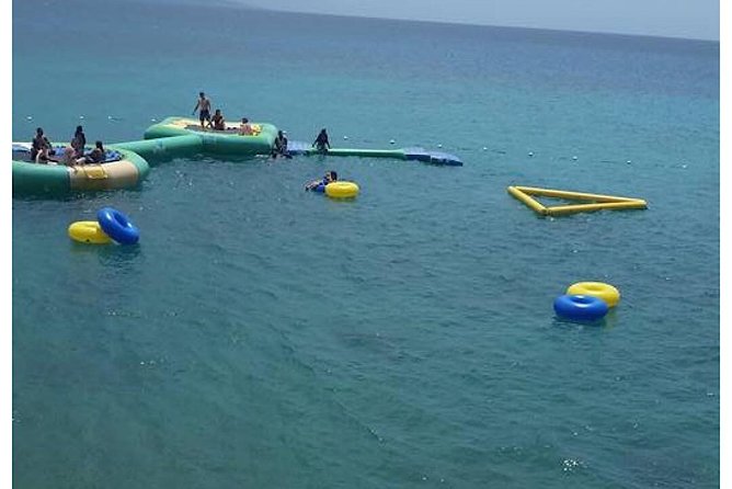 Montego Bay’s Sightseeing Tour with Options to Customize - Price and value: what you get for about $84 per person