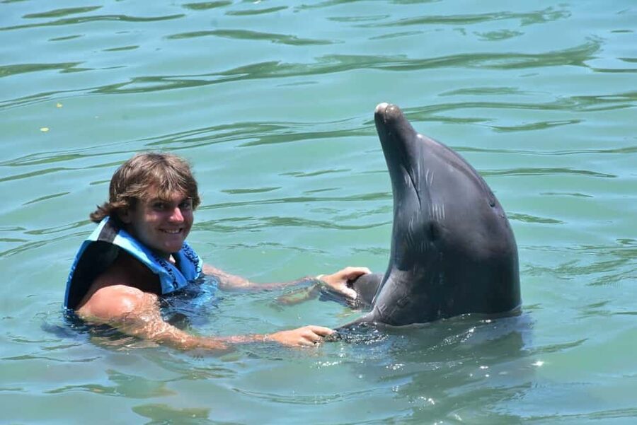 Montego Bay: Swim With The Dolphins Adventure in Lucea - Dolphin Cove Montego Bay: guided time and a clear water plan