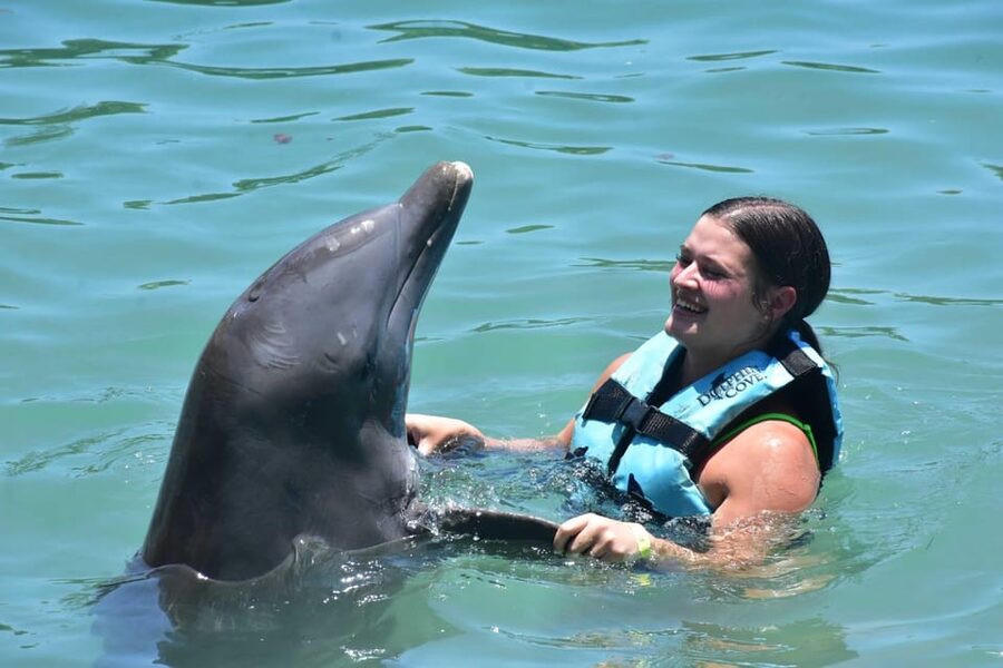 Montego Bay: Swim With The Dolphins Adventure in Lucea - Who this tour is best for in Lucea