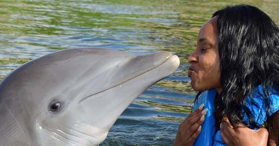 Montego Bay: Swim With The Dolphins Adventure in Lucea - Pickup from Montego Bay area plus Hip Strip breaks