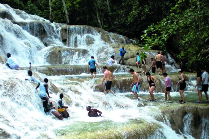 Montego Bay to Dunn's River Falls Half-Day Trip - What your day actually looks like: base pool, climb, craft browsing