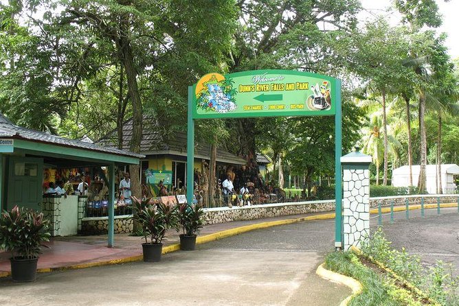 Montego Bay to Dunn's River Falls Half-Day Trip - The climb experience: how to stay comfortable and avoid day-ruining mistakes