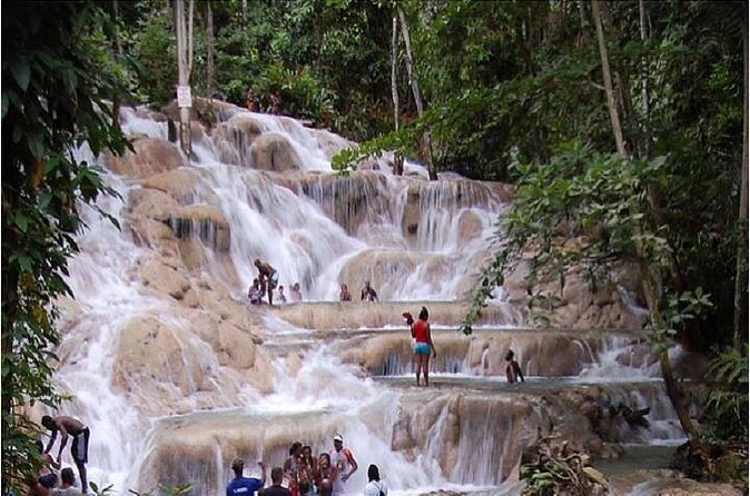 Montego Bay to Dunn's River Falls Half-Day Trip - Who this tour suits best (and who should skip it)