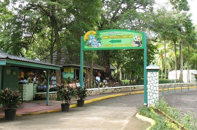 Montego Bay to Dunn's River Falls Half-Day Trip - Booking tips that can save your day