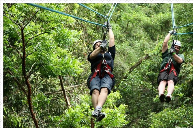Mystic Mountain Tour from Montego Bay - Timing that won’t crush your day: how the 2–3 hour window works