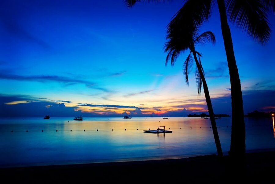 Negril 7-Hour Tour from Montego Bay - Getting From Montego Bay to Negril: What the Road Trip Feels Like