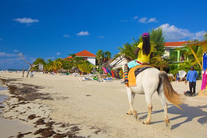 Negril 7 Mile Beach and Rick's Cafe Tour From Montego Bay Jamaica - Who should book this Negril and Rick’s Café tour