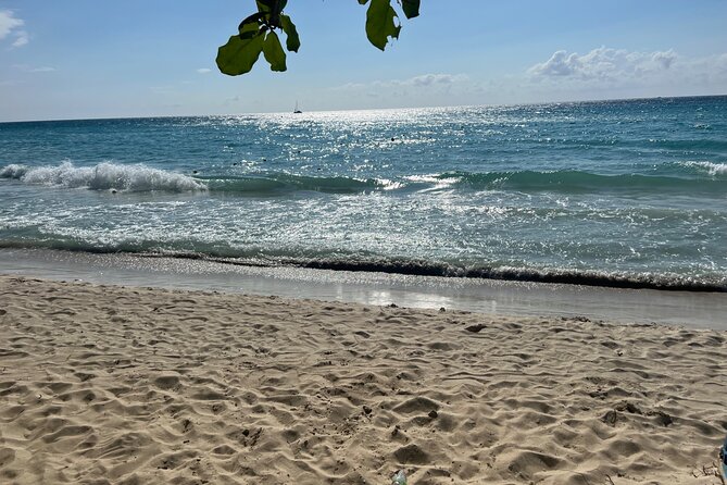 Negril 7 Mile Beach and Ricks Cafe Tour - Renardo as your guide: why the human factor is a big deal