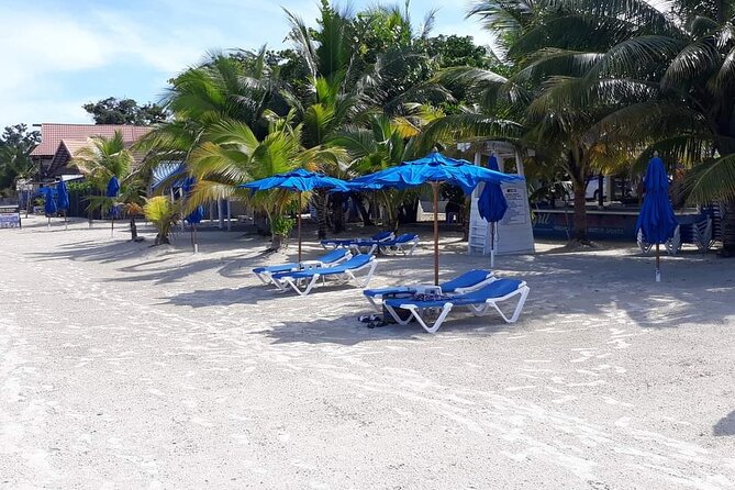 Negril 7 Miles Beach and Rick's Cafe Tour - Key Things to Know Before You Go