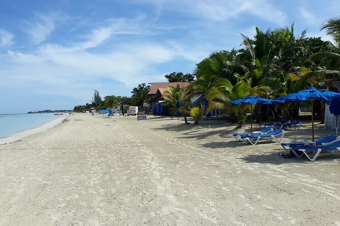 Negril 7 Miles Beach and Rick's Cafe Tour - The Driver Factor: Punctual Pickup and Spot-Searching Help