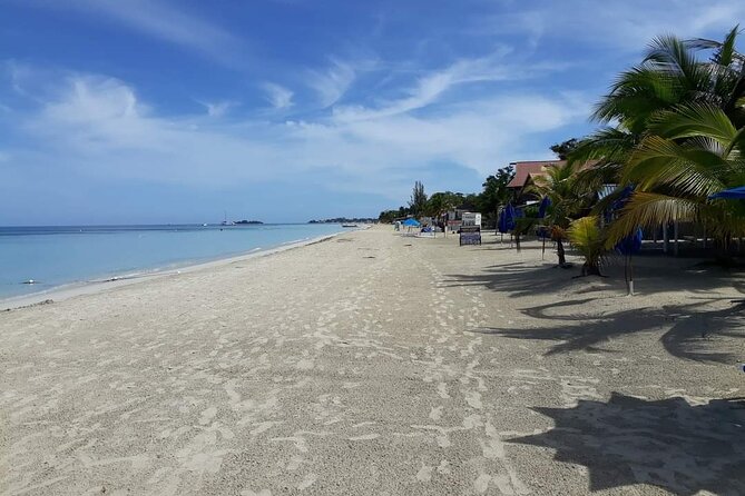 Negril 7 Miles Beach and Rick's Cafe Tour - Who This Tour Fits Best (And Who Might Want a Different Plan)