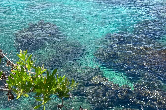Negril day! beach and west end Cliffs with French Guide - Price and what you’re really buying for $180