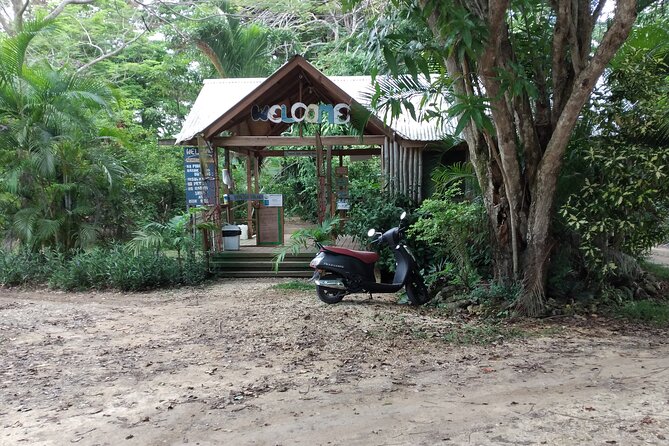 Negril Private and Public Beach with Ricks Cafe from Montego Bay - Rick’s Cafe: cliff-jump viewing with a built-in sunset vibe