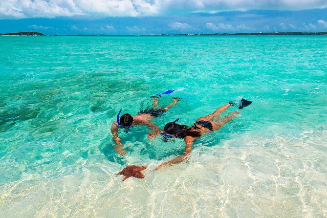Negril Seven Miles Beach, Snorkeling, Boat Ride, Ricks Cafe Combo - Key highlights to decide fast