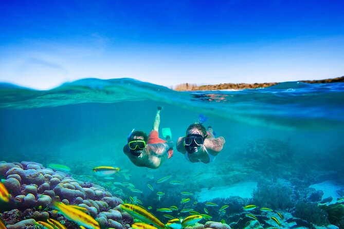 Negril Seven Miles Beach, Snorkeling, Boat Ride, Ricks Cafe Combo - Montego Bay pickup to Negril: the drive that actually teaches something