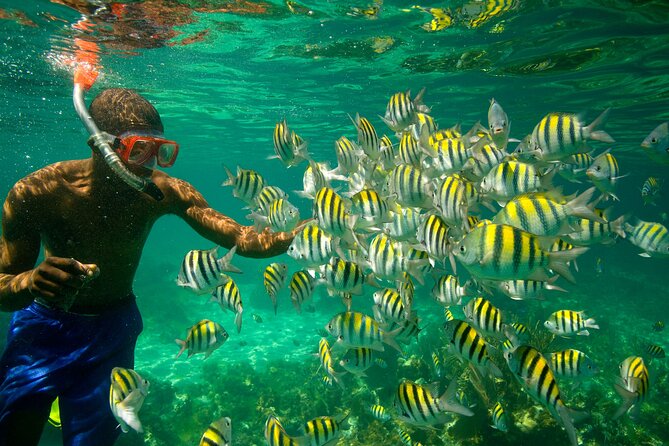 Negril Seven Miles Beach, Snorkeling, Boat Ride, Ricks Cafe Combo - Price and value: is $200 per person fair for this much day?