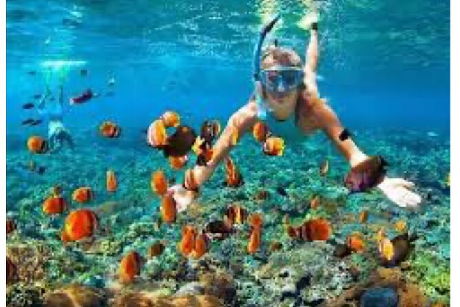 Party Catamaran and Snorkeling Tour in Montego Bay - Margaritaville as a Weather Backup Plan