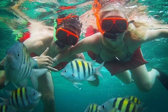 Party Catamaran Cruise with Open Bar and Snorkeling Montego Bay - Where the money goes: $180 and what’s included on board