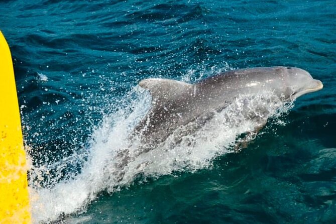 Party Catamaran: OpenBar, Music, Negril Beach, Caves, Snorkeling - Packing and timing tips so you don’t lose your day