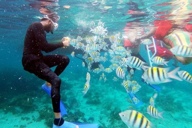 Party Catamaran: OpenBar, Music, Negril Beach, Caves, Snorkeling - Value check: is $90 a good deal?