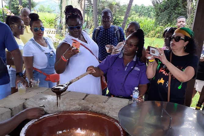 Pelican Bar, Appleton Rum Tour, YS Falls Jamaica south coast experience Montego - Who This Tour Fits Best