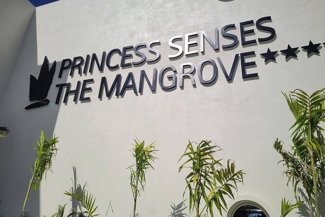 Princess Senses The Mangrove Airport Transfers - Price and Value: $27 Per Person, and What That Buys You