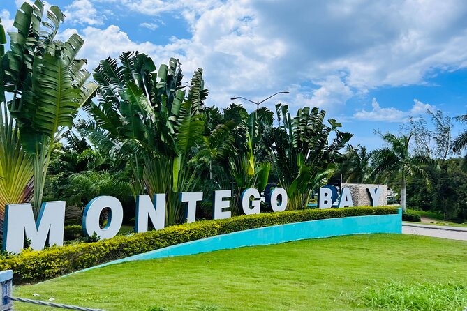 Private Airport Transfer to Excellence, Ocean Coral and Royalton - Key highlights worth knowing