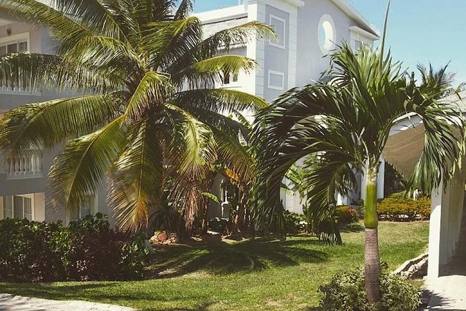 Private Airport Transfer to Lady Hamilton and Grand Palladium - Price and Value: What $108 Per Person Really Buys