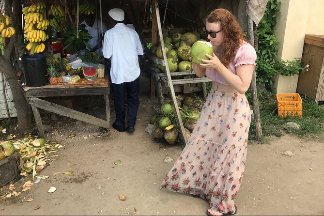 Private and Customize Highlight Tour to Montego Bay from Falmouth - Key Points You’ll Care About