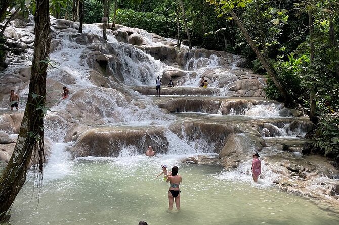 Private and Customize Tour from Montego Bay to Dunns River Falls - What the Private Montego Bay to Dunn’s River Tour Really Delivers