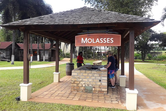 Private Appleton Estate Rum and Pelican Bar Tour from Montego Bay - Appleton Estate rum experience from Montego Bay: the Joy Spence tour vibe
