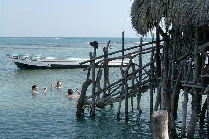 Private Appleton Estate Rum and Pelican Bar Tour from Montego Bay - Drinks, age rules, and how to plan around them