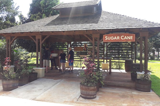 Private Appleton Estate Rum and Pelican Bar Tour from Montego Bay - Stations that make rum make sense: molasses, history, and sugar cane juice