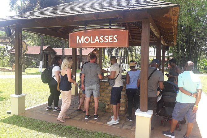 Private Appleton YS Falls and Black River Tour from Montego Bay - Key Highlights You’ll Feel From the Start