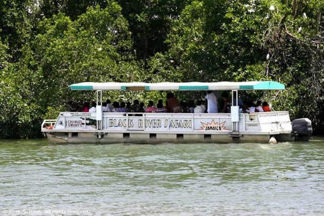 Private Appleton YS Falls and Black River Tour from Montego Bay - Jamaica’s South Coast in a Tight Private Day
