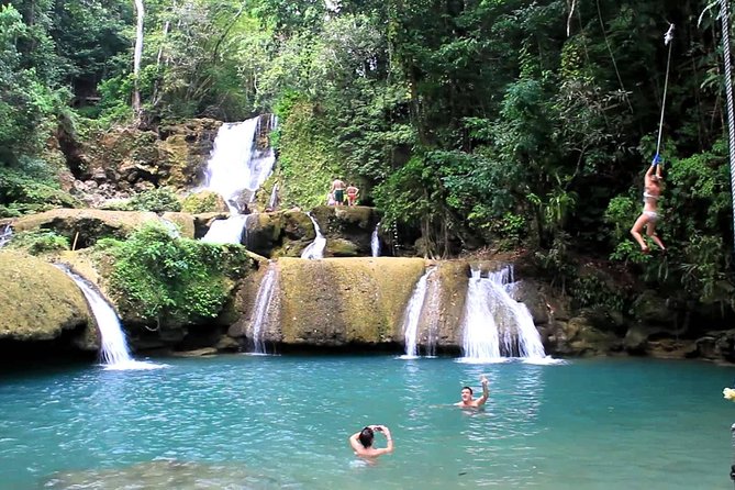 Private Appleton YS Falls and Black River Tour from Montego Bay - Black River Safari: 1 Hour on the Water for Crocodiles and Birds