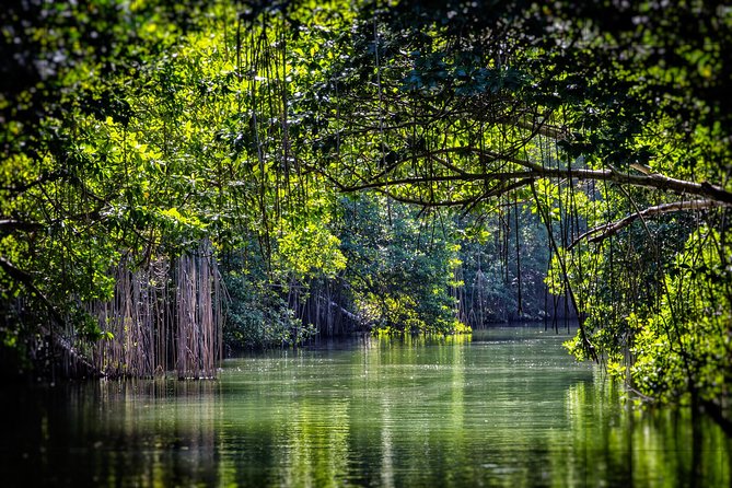 Private Appleton YS Falls and Black River Tour from Montego Bay - Price and Value: Is $270 Worth It?