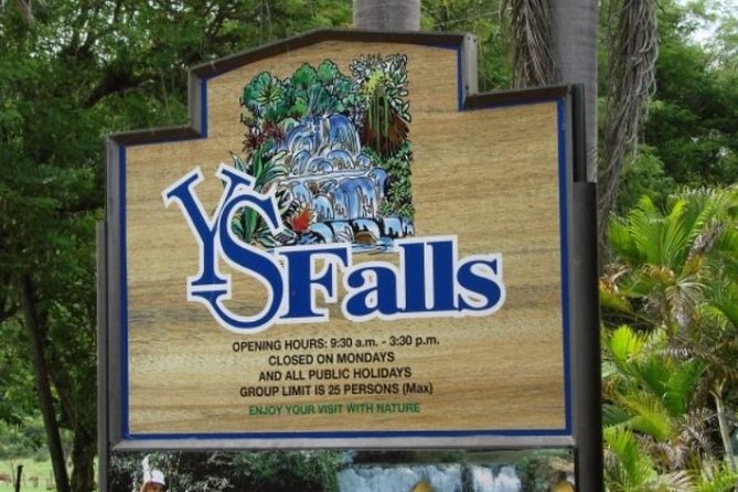 Private Appleton YS Falls and Black River Tour from Montego Bay - Who Should Book This Private Appleton and Croc Safari Day