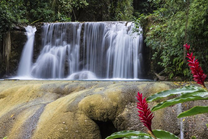 Private Appleton YS Falls and Black River Tour from Montego Bay - Should You Book This Private Appleton YS Falls and Black River Tour?