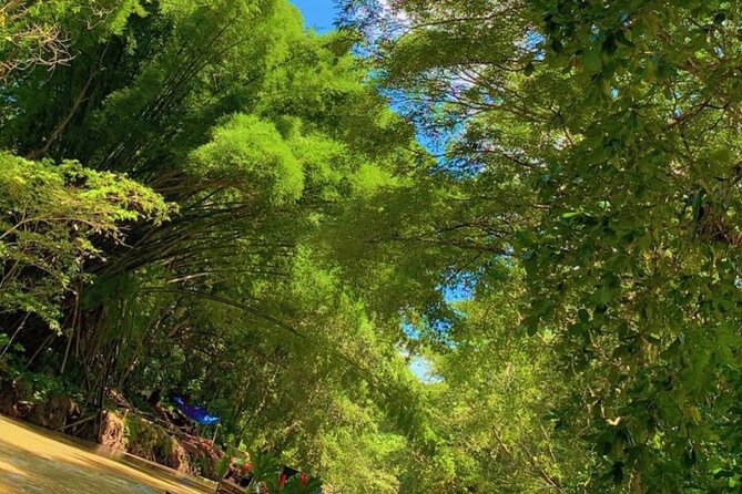 Private Bamboo River Rafting & Foot Massage from Montego Bay - Price Check: Does $65 Feel Like a Smart Deal?