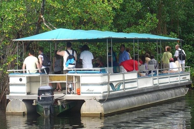Private Black River Safari Tour from Montego Bay - What you’ll notice first: relaxed boat time and strong local handling