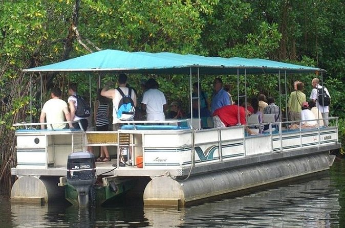 Private Black River Safari Tour from Montego Bay - Price and value: is $160 per person a fair deal