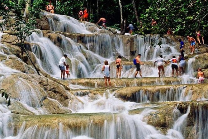 Private Bob Marley 9 mile & DunnsRiverFalls Tour from Montego Bay - Getting Around: Pickup, Mobile Tickets, and the Role of the Guide