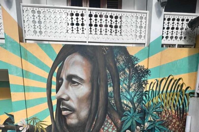 Private BOB Marley's 9miles Tour & Dunn’s River Falls Experience - Who This Tour Fits Best