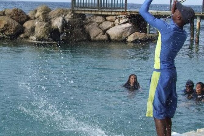 Private Dolphin Cove Adventure - Timing: How to Use the 2–3 Hour Window