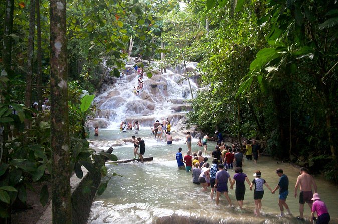 Private Dunn's River Falls Adventure from Montego Bay - What Might Not Fit Your Style (So You Can Decide Confidently)