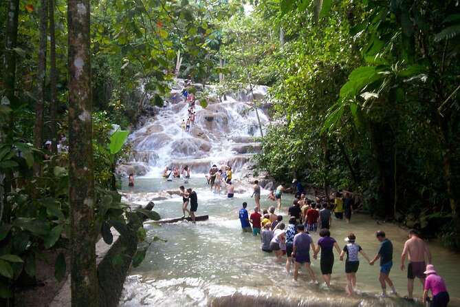 Private Dunn's River Falls Adventure from Montego Bay - Getting to the Falls From Montego Bay Without a Rental Car