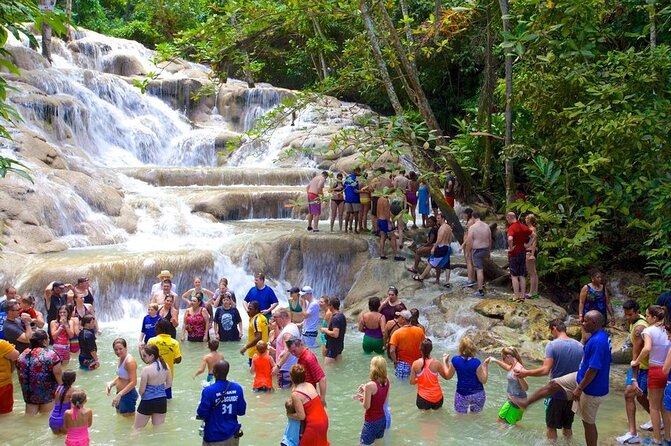 Private Dunn's River Falls and Blue Hole Tour Ocho Rios Jamaica - Key Points You’ll Care About