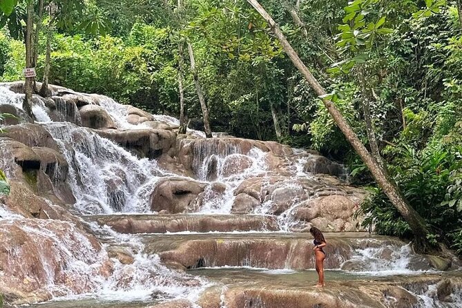 Private Dunn's River Falls and Blue Hole Tour Ocho Rios Jamaica - Blue Hole (Secret Falls): Water, Jungle, and Action With Local Guidance